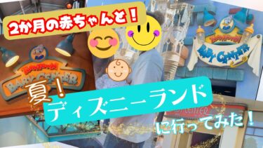 【２か月の赤ちゃんと！】夏！ディズニーランドに行ってみた！